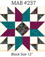 Member Appreciation Block #237