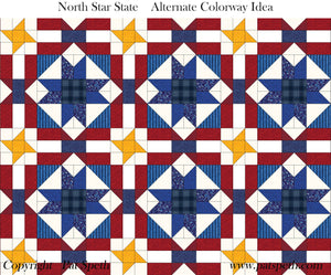 North Star State PDF